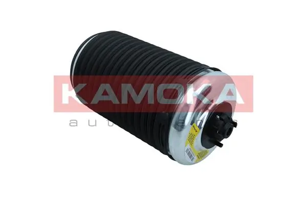 2079004 Kamoka