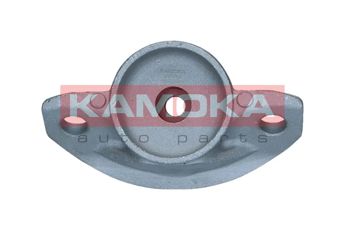 209319 Kamoka
