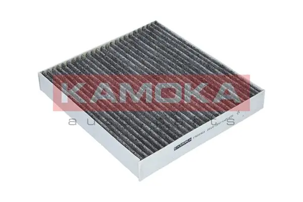 F509901 Kamoka Filtro de salão