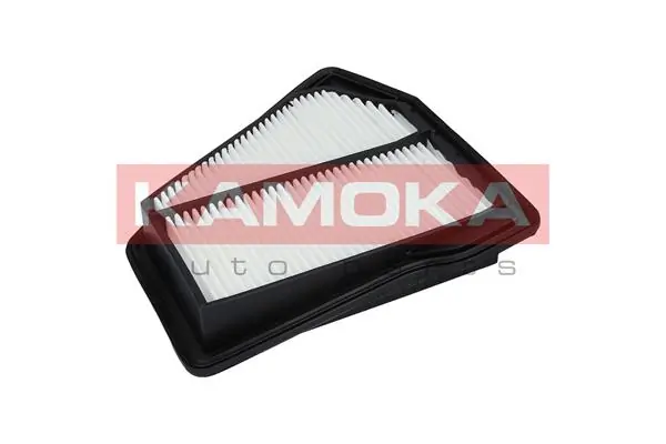 F226001 Kamoka