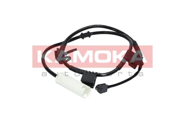 105095 Kamoka