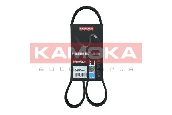 Compre Correia dos conjuntos de transmissão Renault DUSTER 2