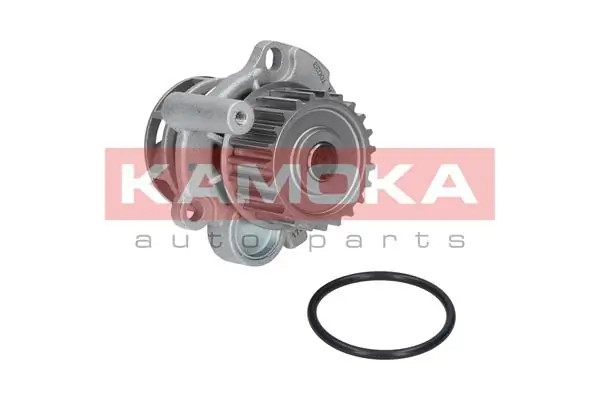 T0033 Kamoka