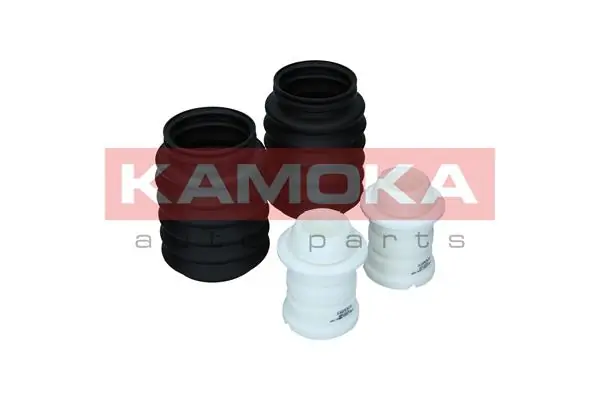 2019101 Kamoka