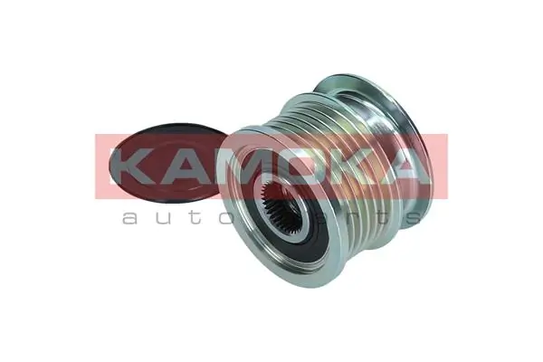 Polia do gerador 55565443 Peugeot/Citroen