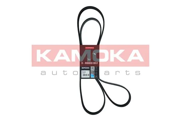 Correia dos conjuntos de transmissão 0019933696 Mercedes