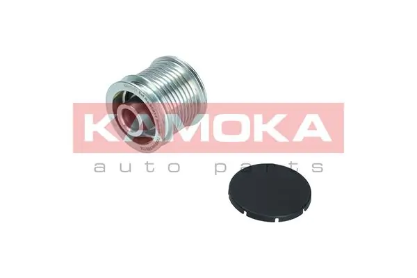  Polia do gerador Mercedes R SUV (W251) (2005 - 2017) 