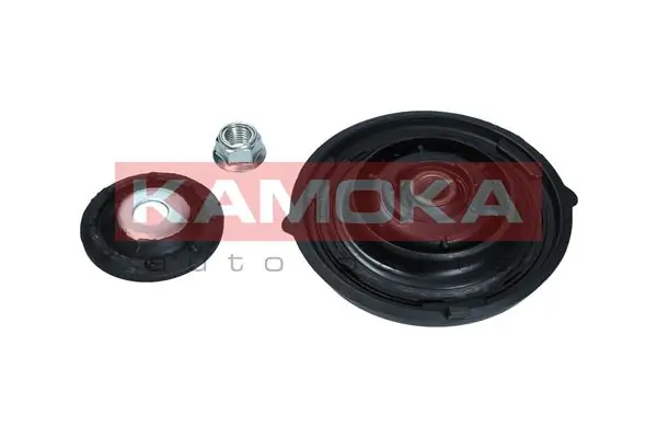 209072 Kamoka