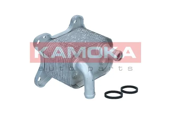 Radiador de óleo General Motors 5650345