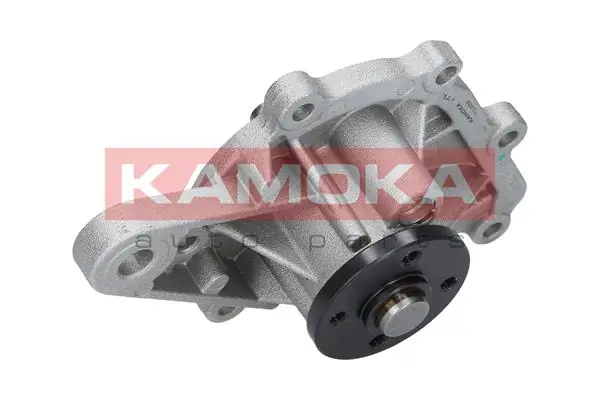 T0259 Kamoka