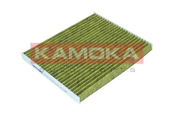 6080099 Kamoka