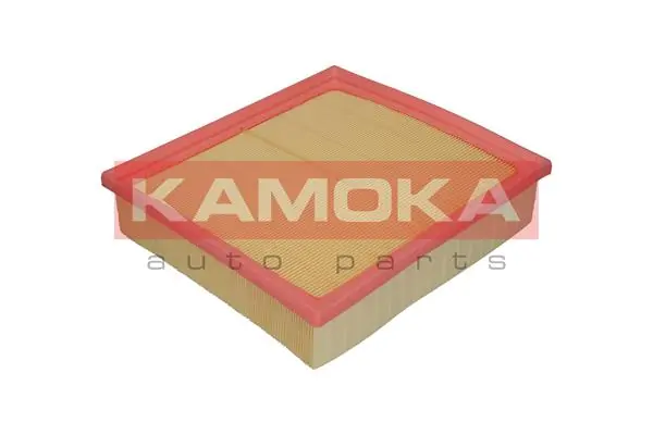 F203901 Kamoka