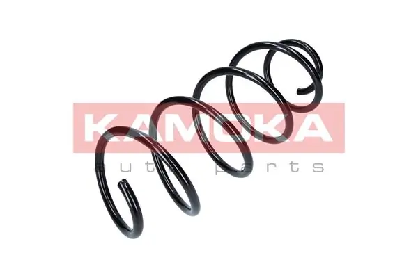 2110173 Kamoka