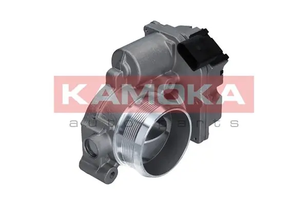 Válvula de borboleta montada 117342 Massey Ferguson