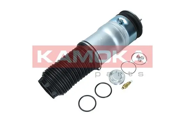 2079020 Kamoka