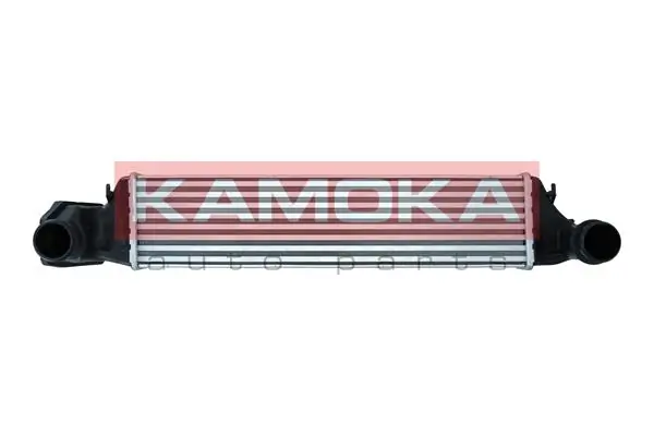 7750113 Kamoka
