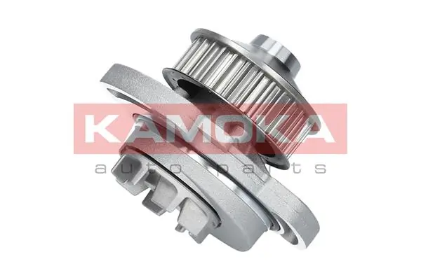 T0254 Kamoka