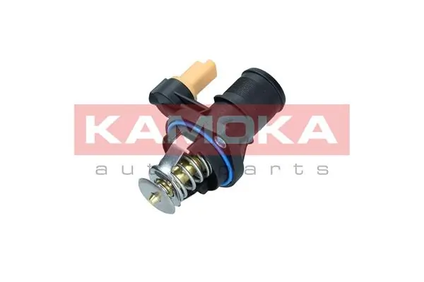 7710273 Kamoka