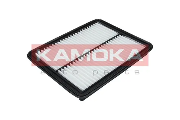 F233101 Kamoka