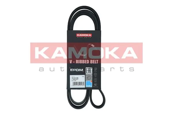 Correia dos conjuntos de transmissão Dayco 6PK1564