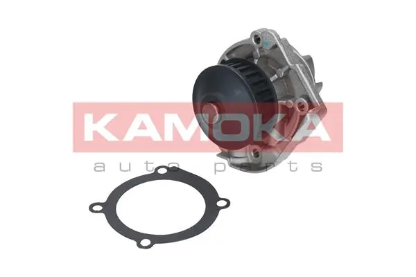 T0118 Kamoka