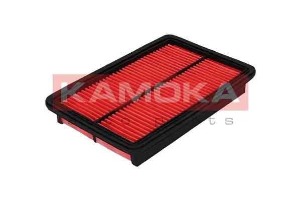 F209401 Kamoka