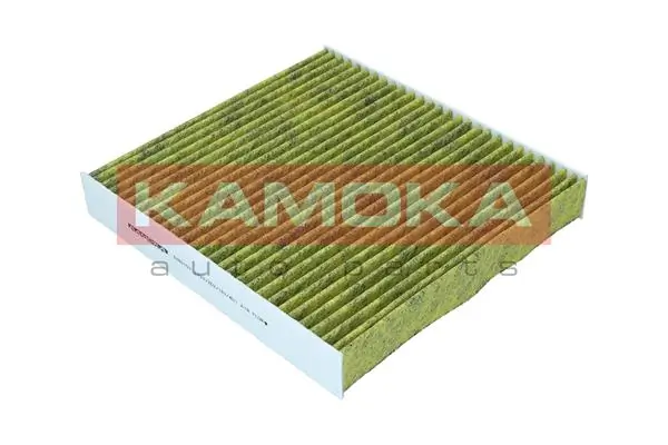 6080153 Kamoka