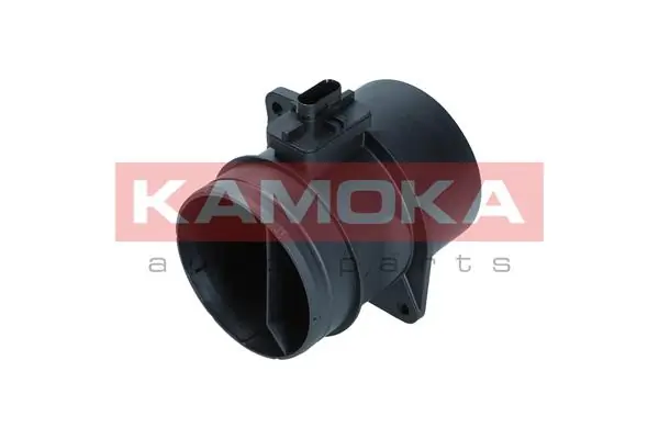 18047 Kamoka