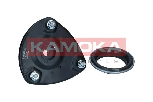 209197 Kamoka