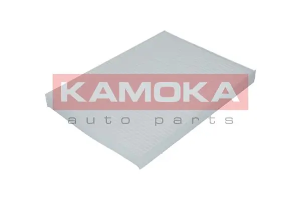 F400101 Kamoka