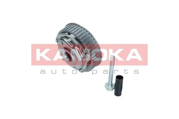 Engrenagem de cadeia de roda dentada da árvore distribuidora de escape de motor 427100530 LUK