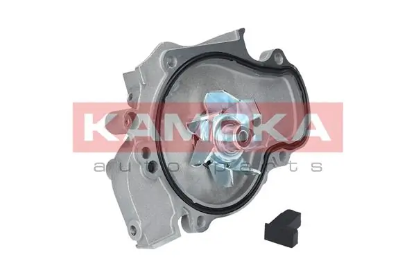 T0144 Kamoka