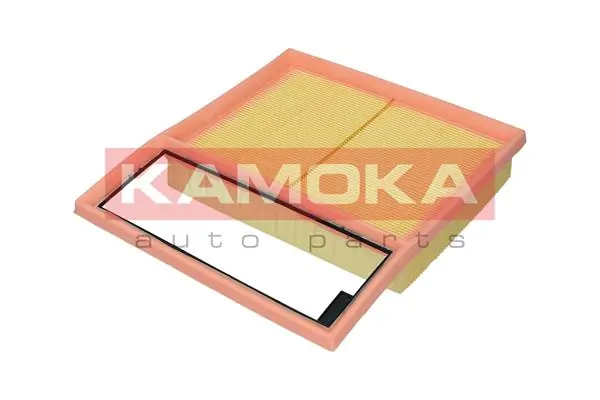 F252901 Kamoka