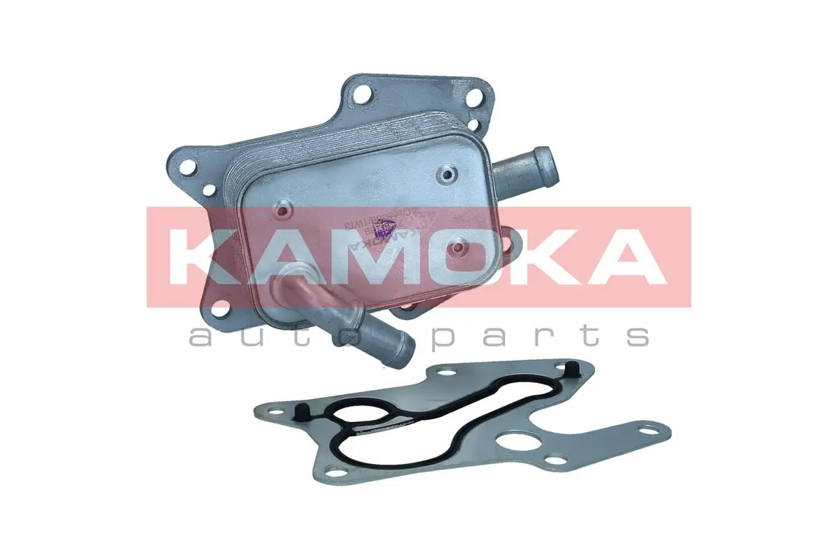 7730139 Kamoka