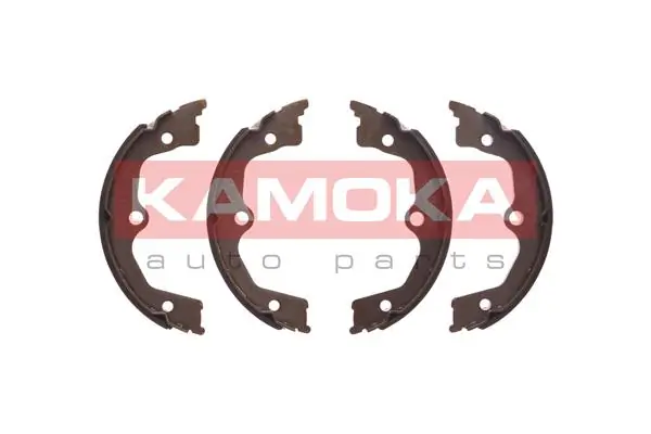 JQ212054 Kamoka