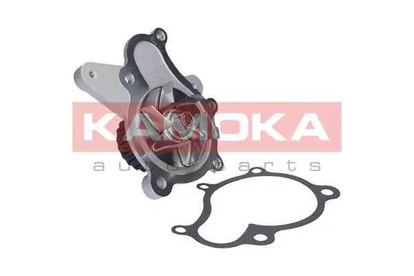 T0160 Kamoka