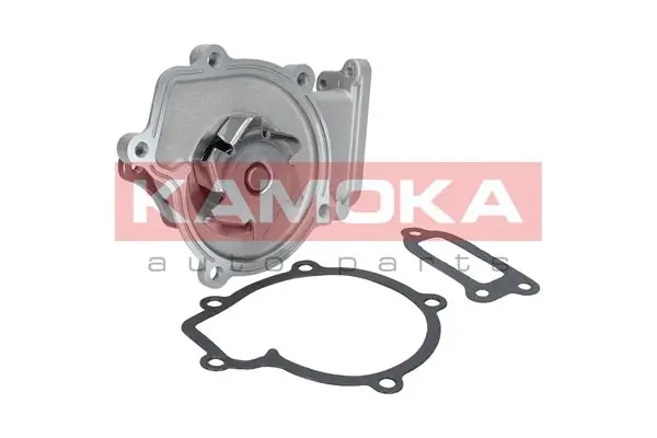 T0210 Kamoka