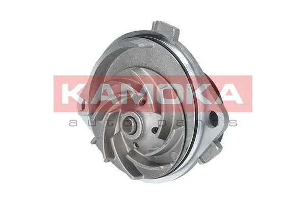 T0111 Kamoka
