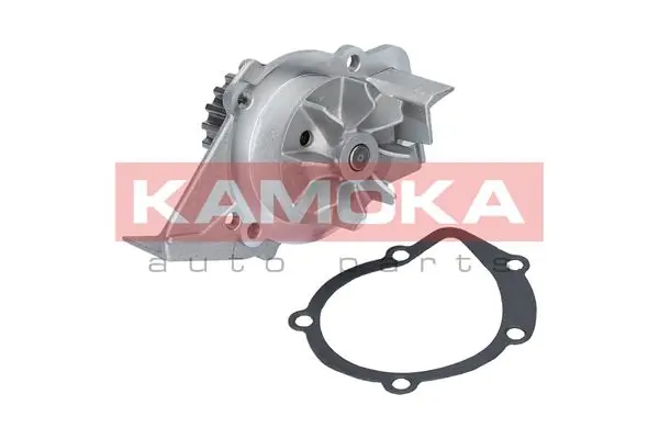 T0095 Kamoka