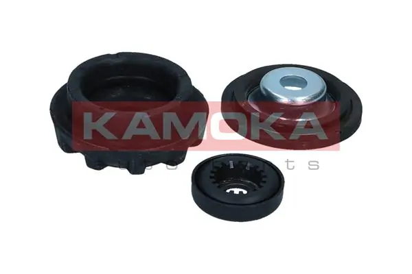 209301 Kamoka