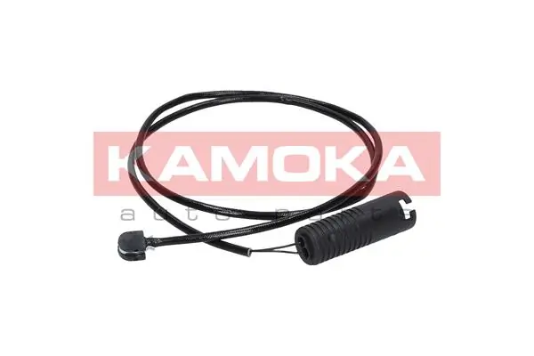 105003 Kamoka