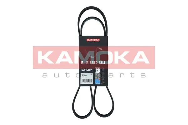 Compre L37315909 Mazda Correia dos conjuntos de transmissão