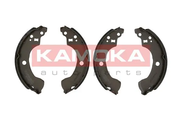 JQ202038 Kamoka