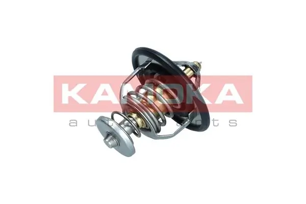 7710148 Kamoka