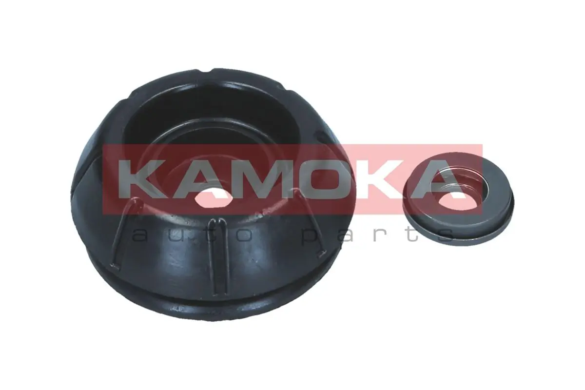209302 Kamoka