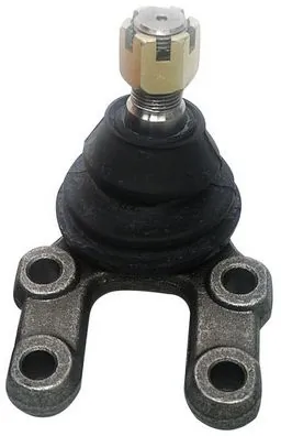 D110038 Denckermann