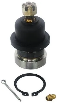 D110177 Denckermann