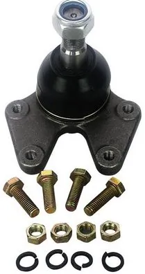 D110198 Denckermann