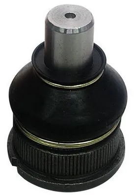 D110018 Denckermann