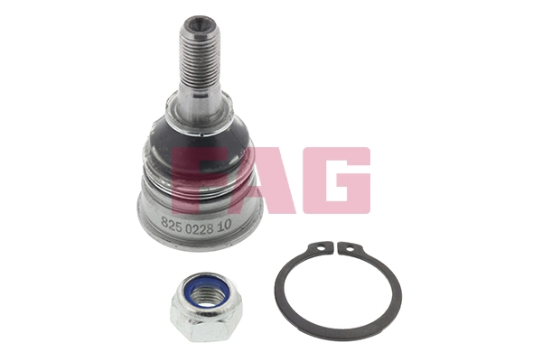 Suporte de esfera inferior Nissan Micra  K11 ao melhor preço